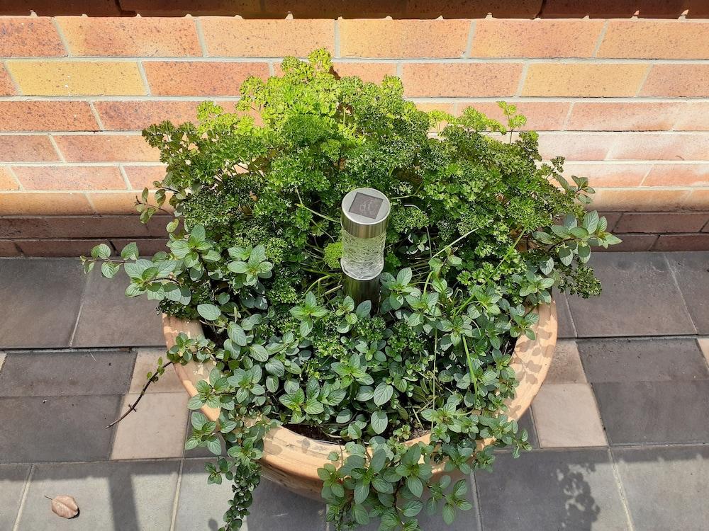 城市之星小屋 布里斯班 外观 照片